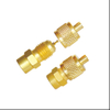 Access Valve