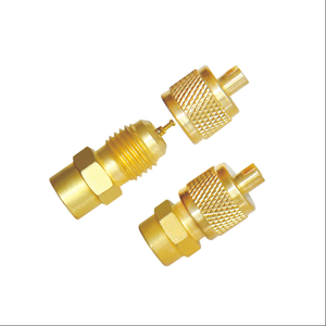 Access Valve